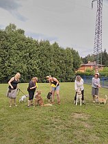 Klub Agility Primavera z.s. navštívil DS Seč, s.r.o.